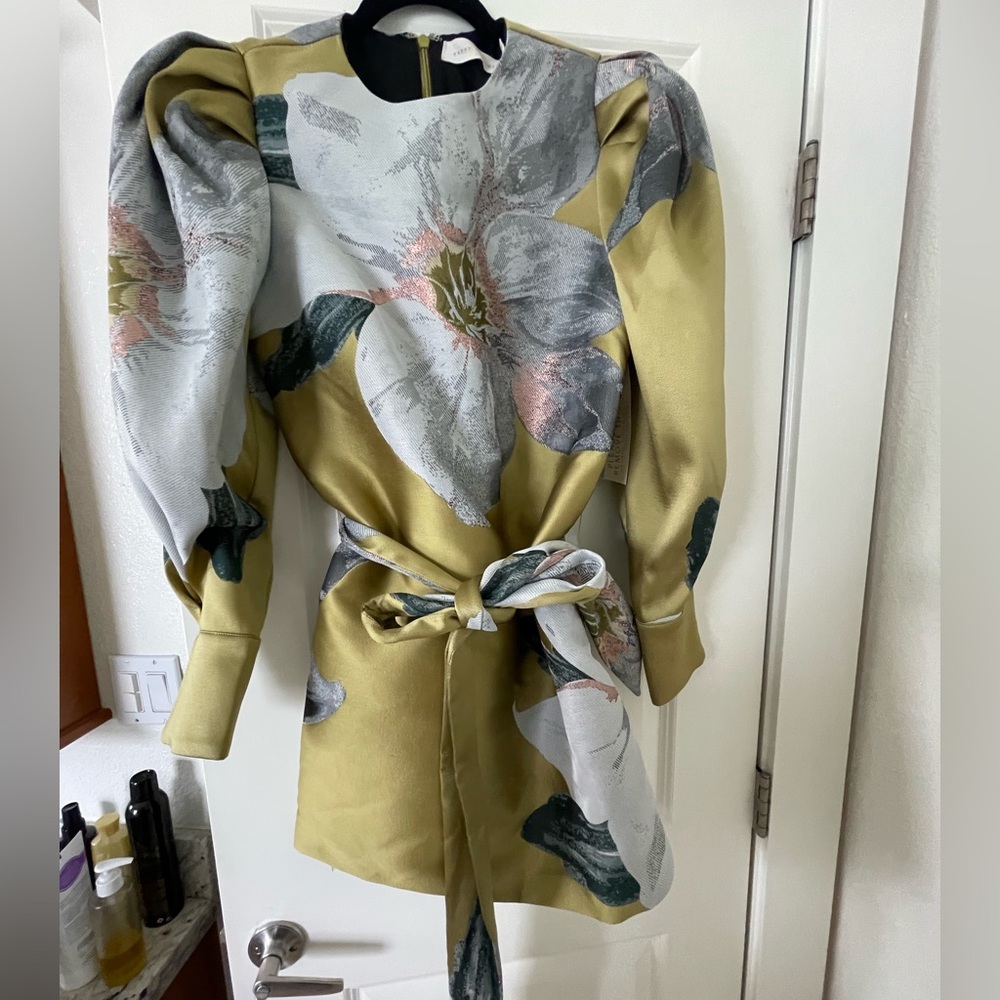 Beautiful puff sleeve mini dress